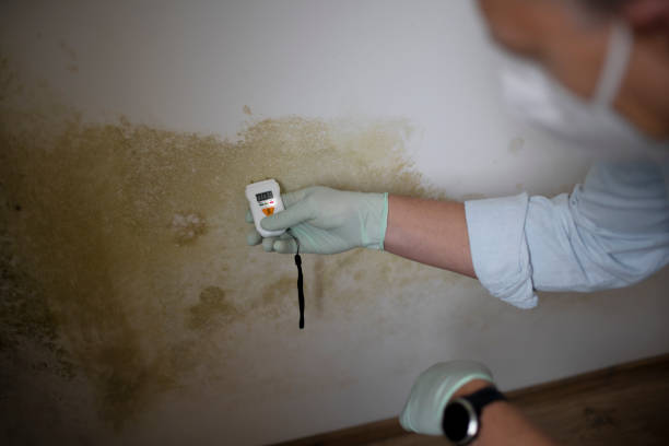 Best Health and Safety Mold Remediation in Marbury, AL